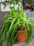 DSCN6771.JPG