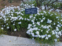 April 2013 WDC