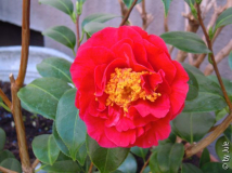 DSCN6855.JPG