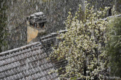 molino neve aprile