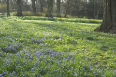 stadtpark_4.jpg