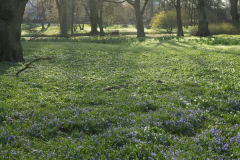 stadtpark_3.jpg