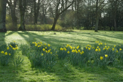 stadtpark_2.jpg