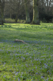 stadtpark_5.jpg