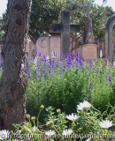 Friedhof Cala Figuera
