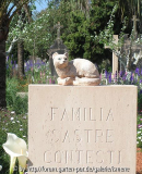 Cala Figuera Katze
