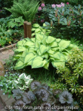 DSC01999a.JPG