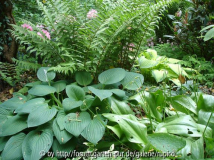 DSC02000a.JPG