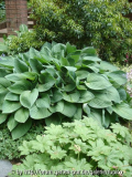 DSC02001a.JPG