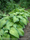 DSC02004a.JPG
