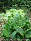 DSC02005a.JPG