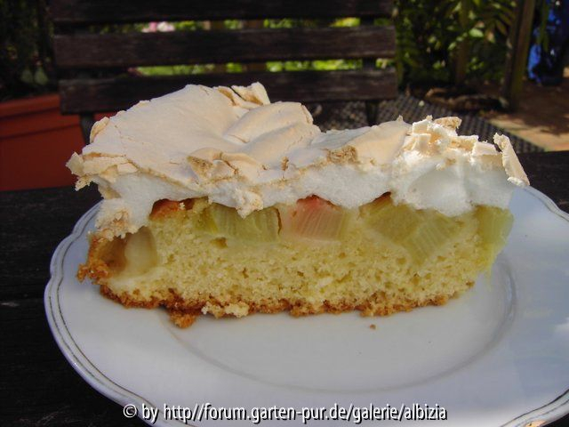 Rhabarber-Kuchen 3