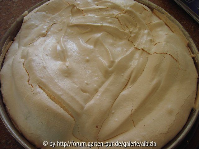 Rhabarber-Kuchen 2