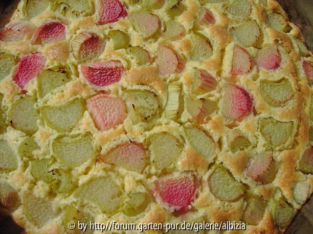 Rhabarber-Kuchen 1