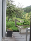Gartenblick nach Osten