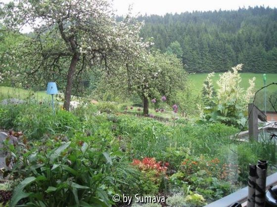 Gartenblick nach Südost