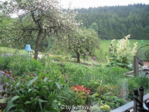 Gartenblick nach Südost