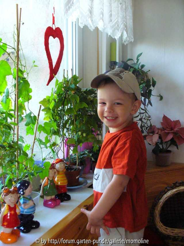 mein Sohn,