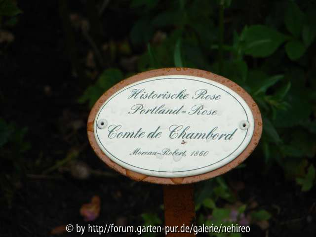 Chambord Schild