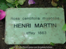 Henri Schild
