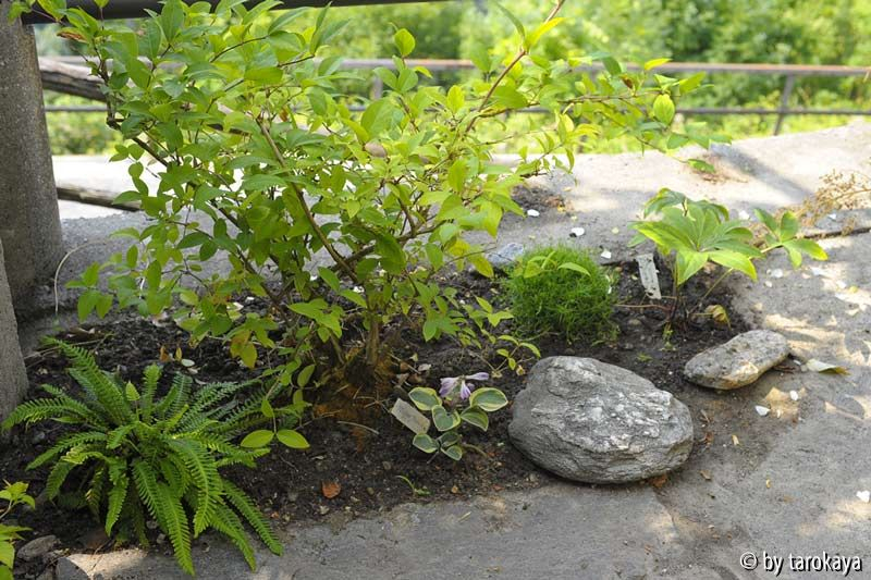 minibeet sitzplatz
