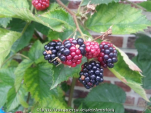 20130728_142820.jpg