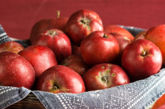 apfel (1 von 1).jpg