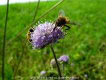 2011-08-24_4.JPG