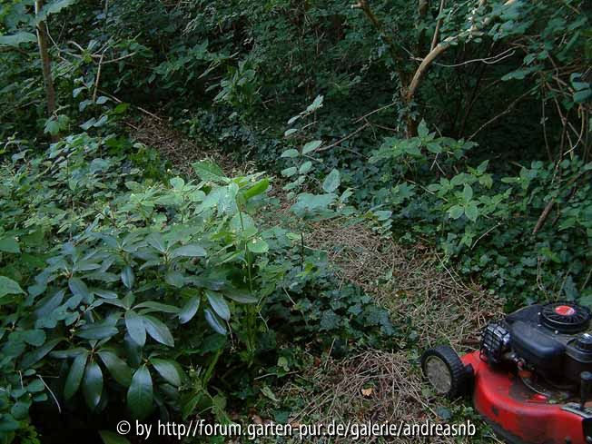 Wald3