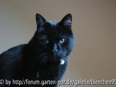 Immer noch Spinnweben