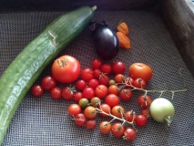 ernte23-09-13.jpg