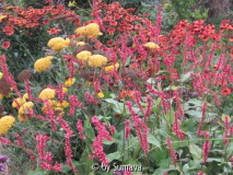 Herbstbuntheit