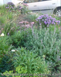 2013-09-29 Vorgarten