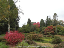 Überblick Von Gimborn Arboretum