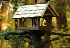 futterhaus13