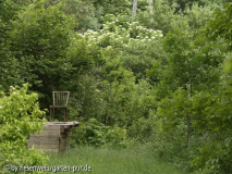 auf der grossen wiese - 2006-06-05