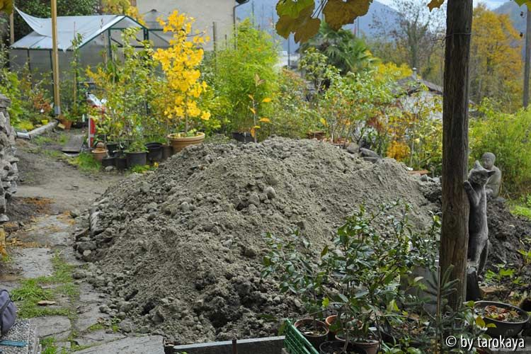 sandberg wächst