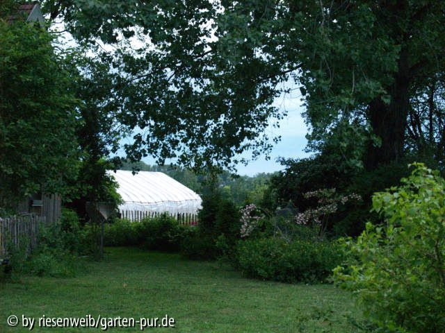 auf der grossen wiese - blick nach NW...