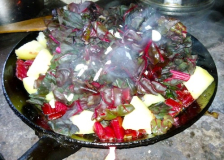 15-11-13_4.jpg