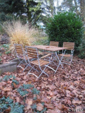 Sitzplatz im November mit Ahorn und Lebk