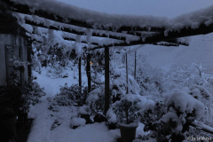 morgens früh 22.nov13