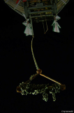 crop800x600.jpg