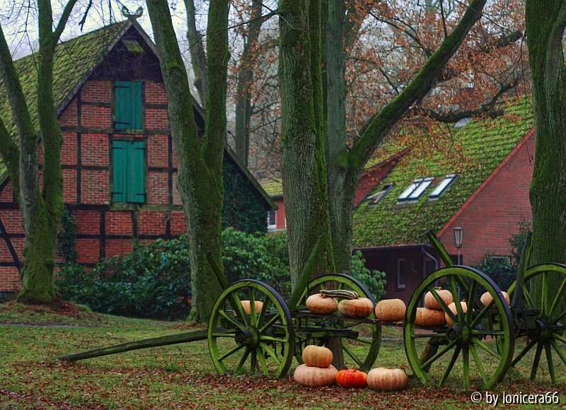 wagen