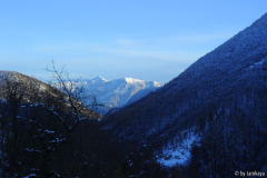 winterstimmung nov13