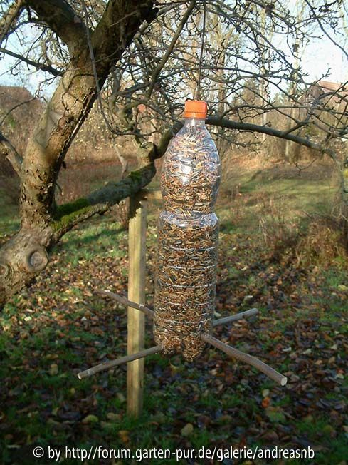 PET-Vogelfutterflasche_voll