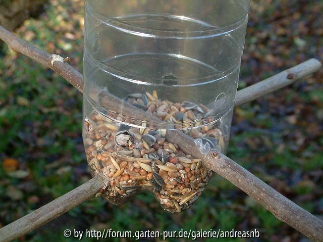 PET-Vogelfutterflasche_leer