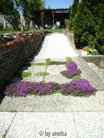 Fugen-Füller1