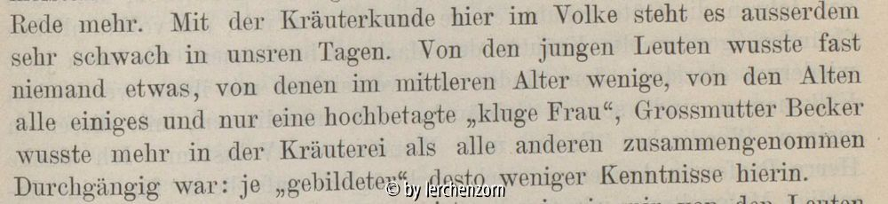 schulenburg_kraeuterei