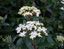 DSCN9262.JPG