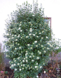DSCN9260.JPG